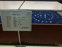 -青岛贝壳博物馆