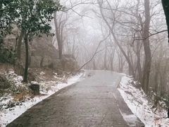 -紫金山山顶公园
