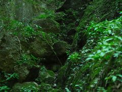 -龙窝子