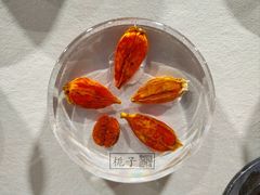 -北京中医药大学-中医药博物馆