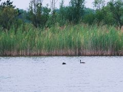 -野鸭湖国家湿地公园