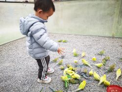 -萌宠亲子动物乐园(槐房万达店)