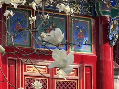 -西安市广仁寺
