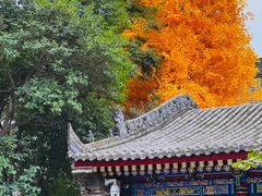 -西安市广仁寺