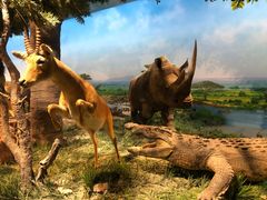 -国家自然博物馆