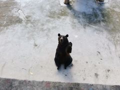 -哈尔滨北方森林动物园