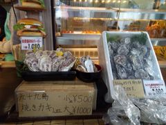 -西海国立公园九十九岛水族馆