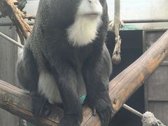 -昆明动物园