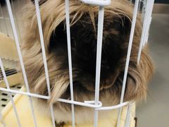 -UltraForce超源健身私教工作室(长楹天街精品店)