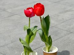 -济南恒隆广场