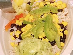 -油梨树AVOCADO TREE(望京店)