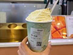 -雾与山茶(大禹城店)