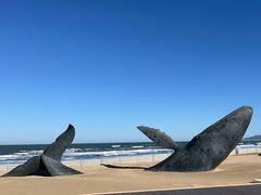 -烟台金沙滩海滨公园