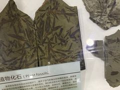-中国第四纪冰川遗迹陈列馆