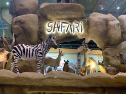 -卡通尼·Safari非洲探索乐园·生日会(金桥国际商业广场店)