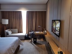 -徐州博顿温德姆酒店(高铁东站店)