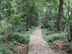 -岳麓山风景名胜区