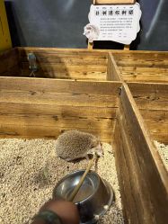 -酷嗒动物文化乐园(cutezoo西溪乐天城店)