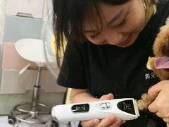 -唐小姐の猫狗洗护·购宠旗舰店(周浦万达店)