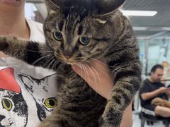 -达爱动物医院·犬猫分区·CT·复杂眼科(远洋山水分院)