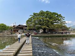 -福建土楼(南靖)景区