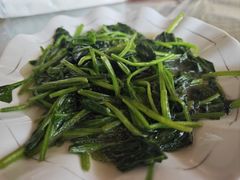 -明珠湖天鹅苑·农家菜馆