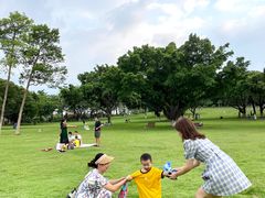 -东莞植物园