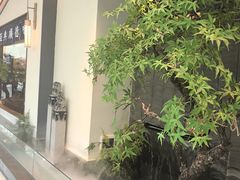 -大榕树下顺德菜(融创茂店)
