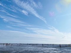 -南汇嘴观海公园