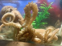 -V-ONE西雅图海鲜自助餐厅(仓山万达广场店)