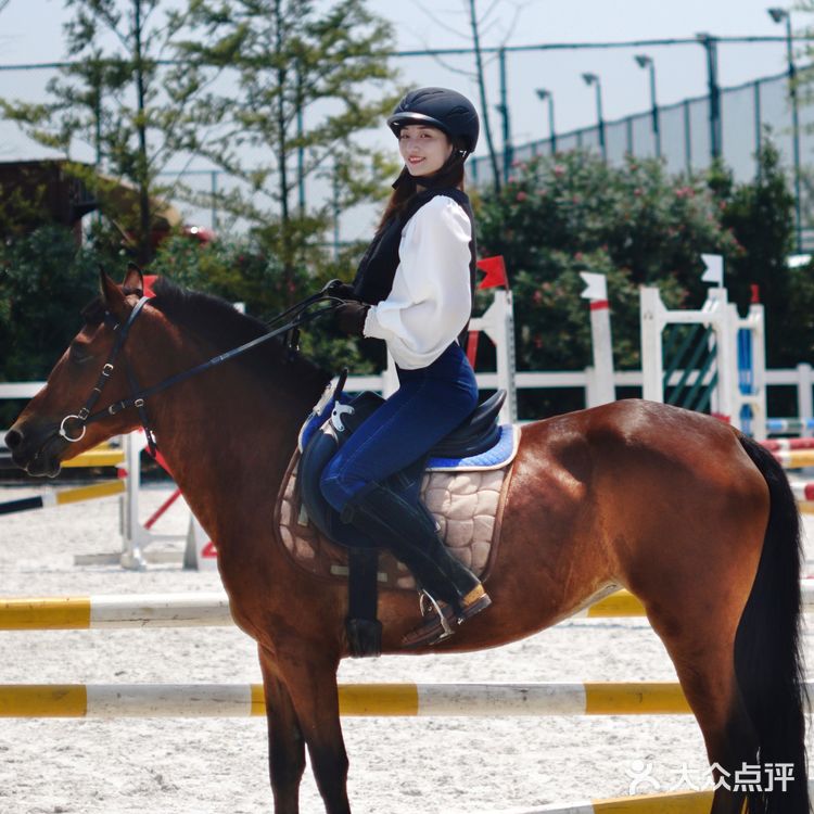 崇明十二时辰🌟在金茂体验🐎背上的快意｜魔都周边旅游攻略📝