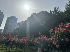 -温江公园