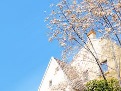 -颐和路民国时期公馆风貌区