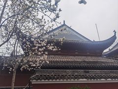 -长春观