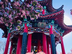 -济南大明湖景区
