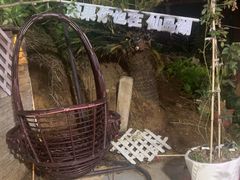 -鱼乐岛餐厅·户外花园主题餐厅