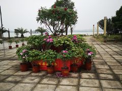 -千龙湖生态旅游度假区