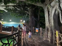 -苏州海洋馆