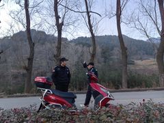 -王顺山国家森林公园