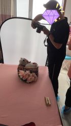 -天使宝宝儿童摄影店