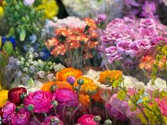 -朝来春花卉市场