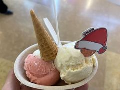 -极拉图·现制冰淇淋(大卫城店)