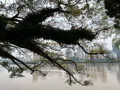 -江心屿景区