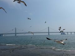 -星海广场