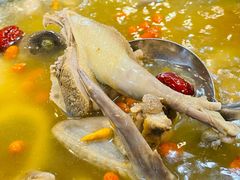 滋补药膳鸽子汤-一煲鸽