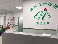 -美美宠物诊疗中心·异宠·骨科(滨江东信分院)