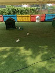 -萌宠亲子动物乐园(槐房万达店)