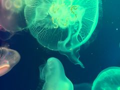 -成都浩海立方海洋公园