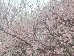 -新世界小天星幼儿园(尚景园)