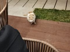 -西昌邛海宾馆